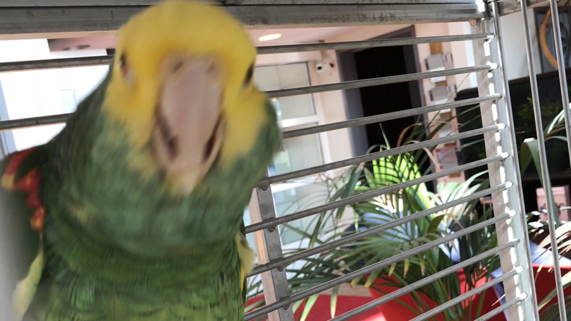 Préparatif pour le départ !